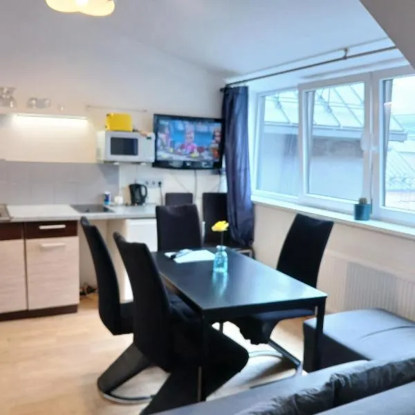 Spacy apartment on Laisves avenue, hotel in Kaunas