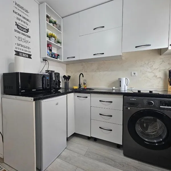 Garsoniera, Hotel in Râmnicu Vâlcea