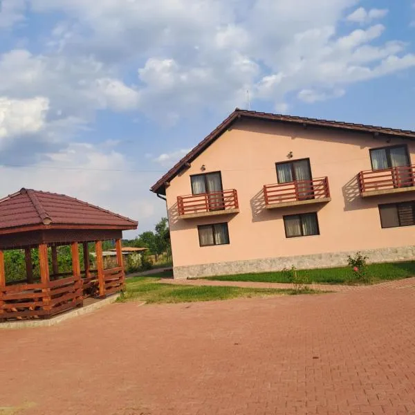 Pensiunea Agroturistica Andi, hotel a Polovragi