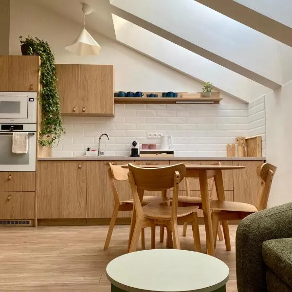 Loft apartment v cetre mesta s parkovacím miestom, Hotel in Žilina