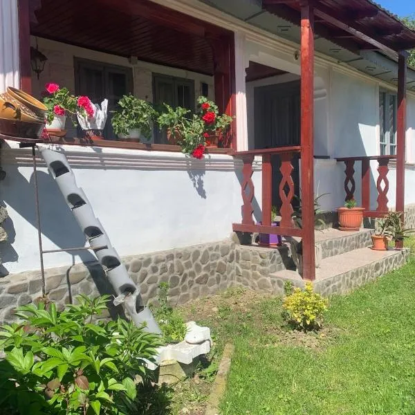 Casa Putna, hotel in Vidra