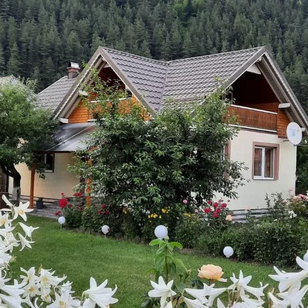 Casa Raluca, ξενοδοχείο σε Bicaz Chei