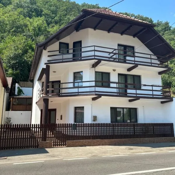 Casa Bașu, hotel v destinaci Băile Herculane