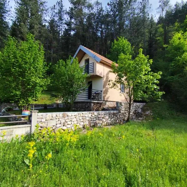Cottage in nature of Cetinje, hotell Cetinjes