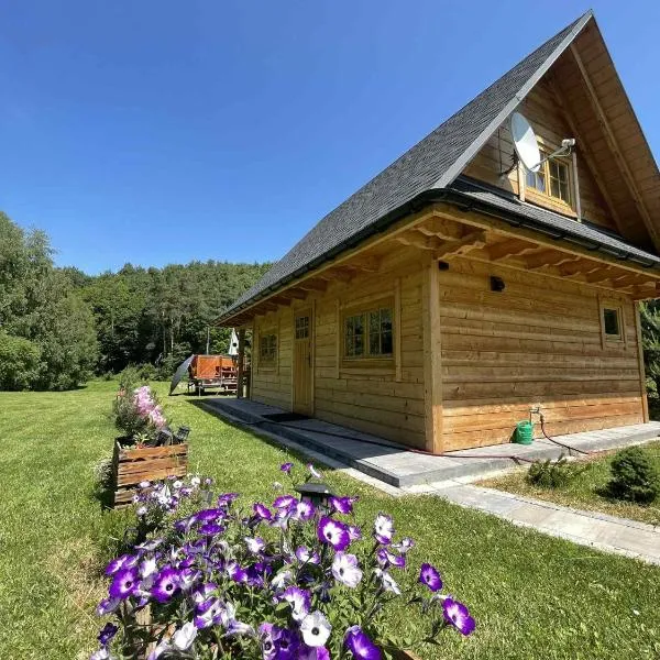 Chatka przy lesie Roztocze Szewnia Dolna 74 22-442, hotel in Szewnia