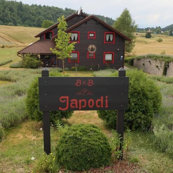 Boutique B&B Japodi, hotel in Mrkopalj