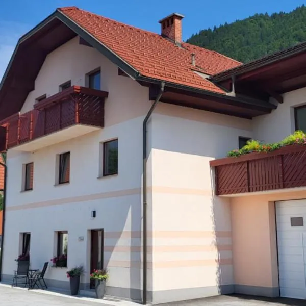 Apartments Na Žagi, hotel in Železniki