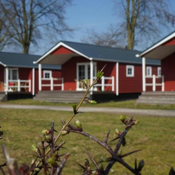 Camping Mareveld, hotel in Schimmert