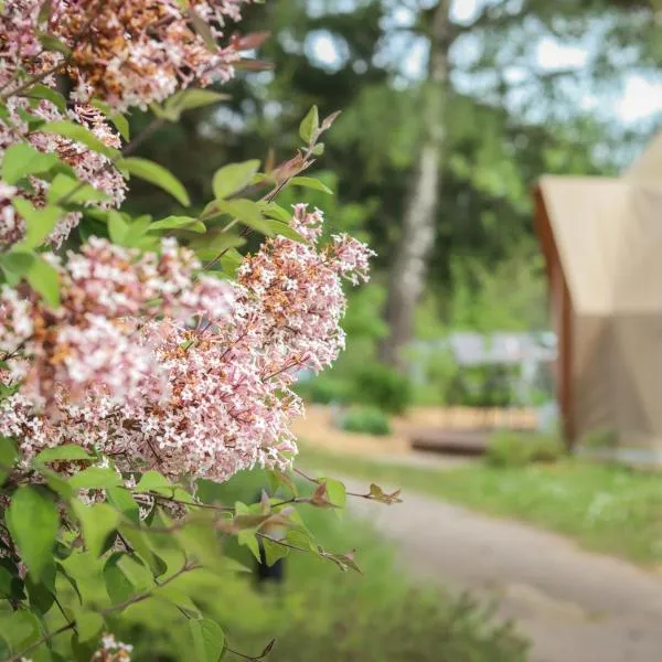 Domaine du Heidenkopf、ニーデルブロン・レ・バンのホテル