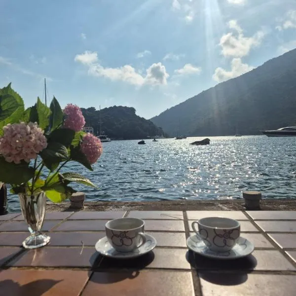 Apartments Paolo, ξενοδοχείο σε Okuklje