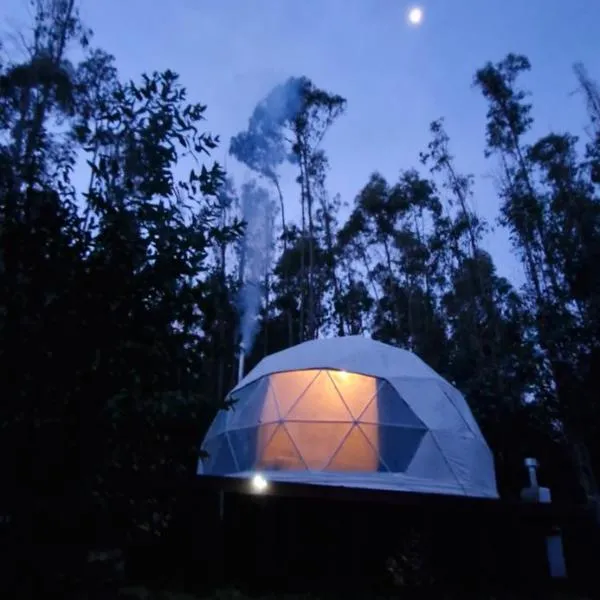 Domo con opcion a tinaja en medio del bosque, hotel v destinácii Pitrufquén