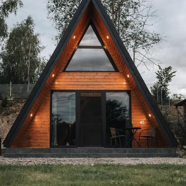 The DREAM A-frame Cabin, Hotel in Arpaşu de Sus