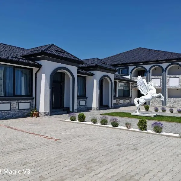 Hanul Dintre Vii, viešbutis mieste Mărăşeşti
