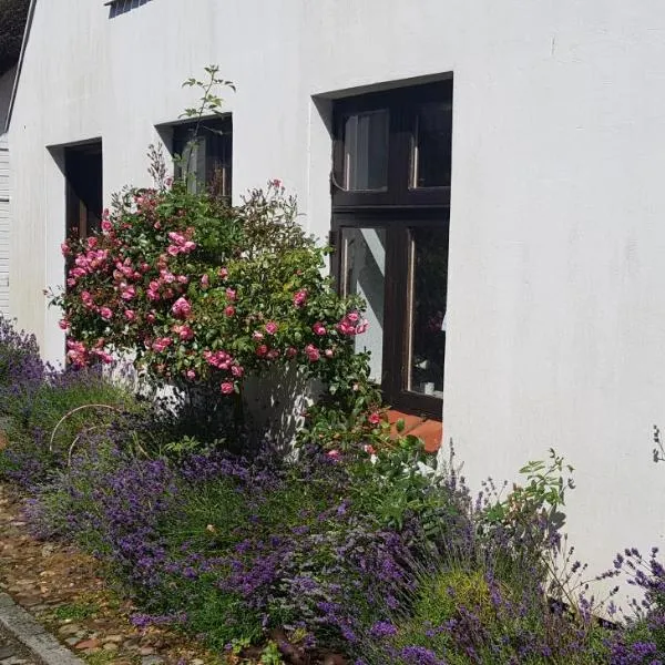 Fischerstern, hotel in Maasholm