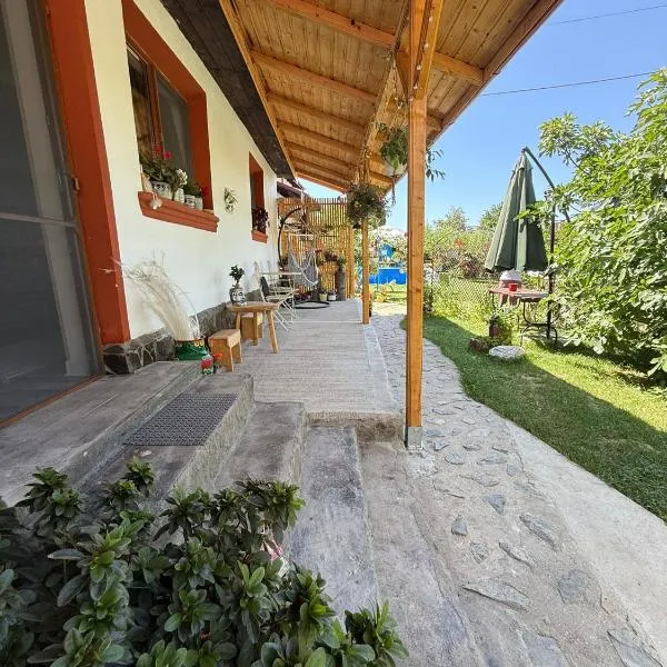 Tiny Mara, Hotel in Râmnicu Vâlcea