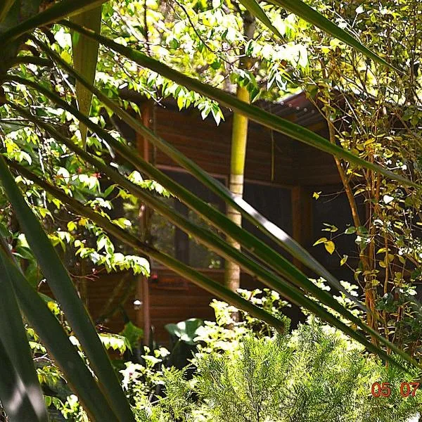 Licensed 2 bedroom cabin Close to San Ignacio, local dining, and adventure tours, hotel v destinaci San Ignacio