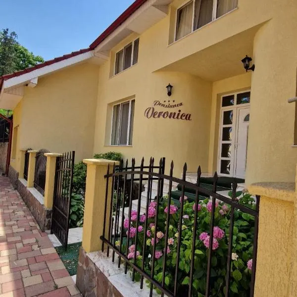 Pensiunea Veronica, ξενοδοχείο σε Baile Felix
