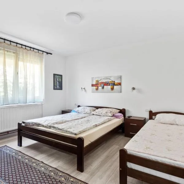 Apartmani Sokobanja Alexandar, hotel in Soko Banja