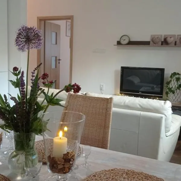 Apartmán v Podhradí Boskovice, hotel di Blansko