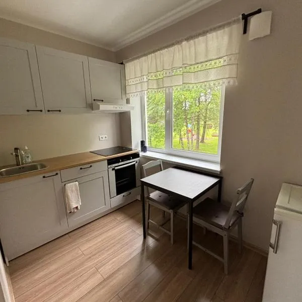 Obinitsa Apartment, ξενοδοχείο σε Obinitsa