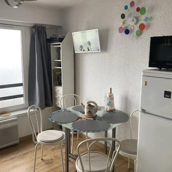 Studio pour 4 personnes , équipé , parking privé, hotel in Puy-Saint-Vincent