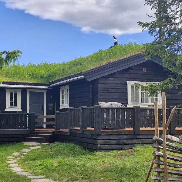 Koselig familiehytte sentralt på Skeikampen til leie, Hotel in Svingvoll