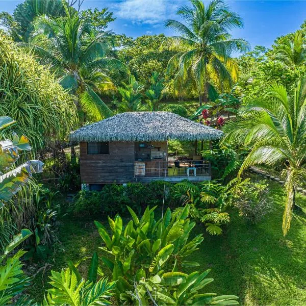 Chalet Jardin Tropical, hotel in Ojochal