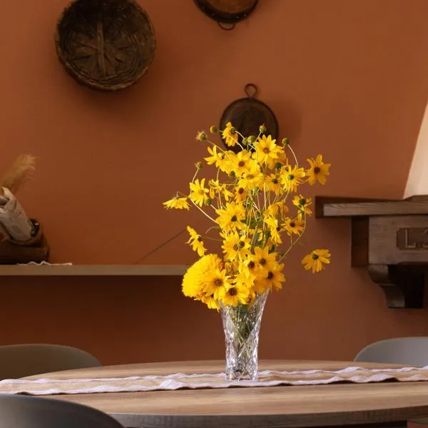 Tarantini Casa Vacanze, hotel in Viggianello