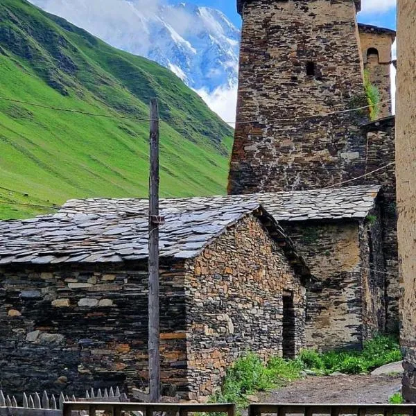 Nizharadze's Tower, hotel in Ushguli