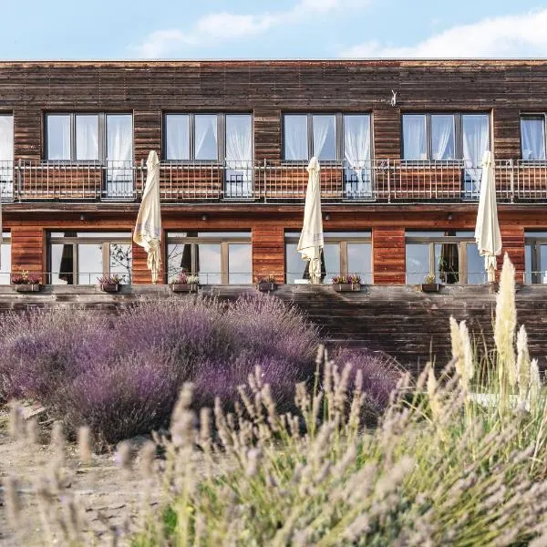 Pension Jezerná, hotel in Zduchovice