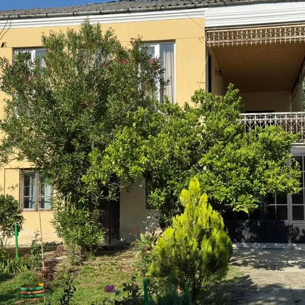 Hotel DADU, hotel i Samtredia