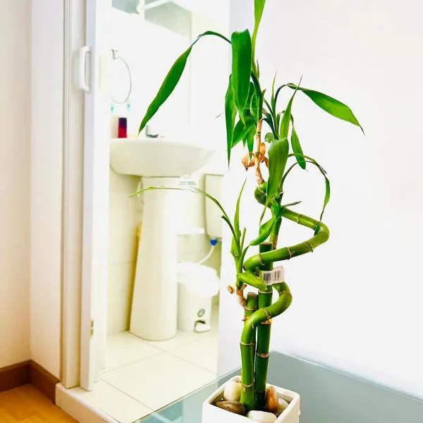 Best Habitaciones Tranquilas Embajada de Mexico, hotel v destinaci Bogotá