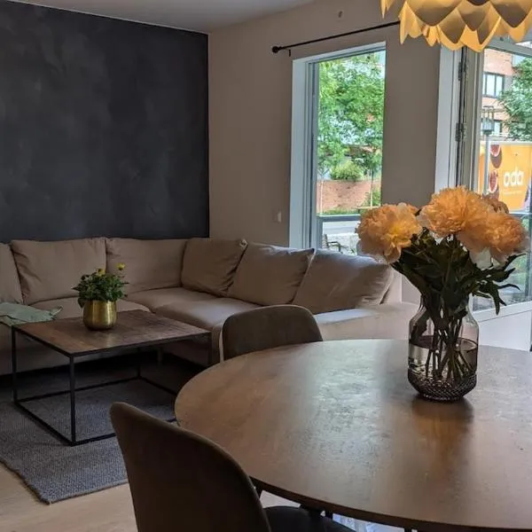 Apartment Grünerløkka, hotel in Oslo