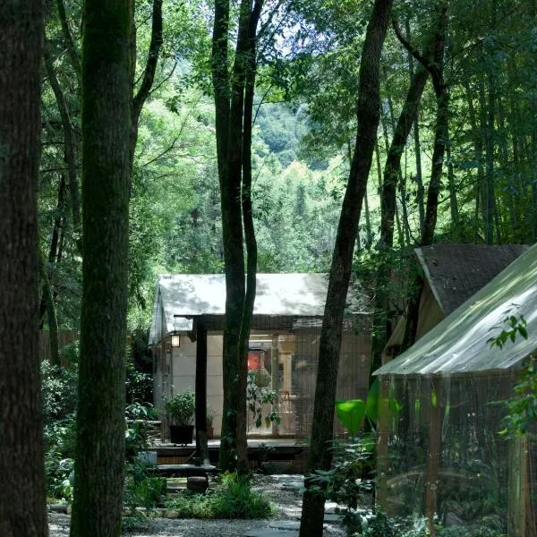 景德镇树园心舍民宿JDZ Forest Haven B&B, hotel v Jingdezhenu