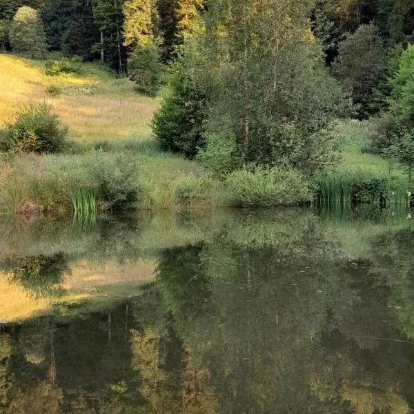 RELAX CHALET Nature Retreat - isolé sur 3 hectares - confort de LUXE - maison entière 150m2 - près de La Bresse, hôtel à Basse-sur-le-Rupt
