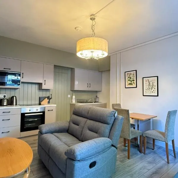 Waterloo Road 2 Bed Apartment, hotel en Dublín