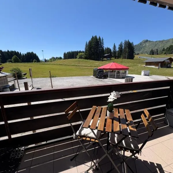Appartement cosy à la montagne aux pieds des pistes pour 4 personnes et 1 bébé, hotel in Taninges