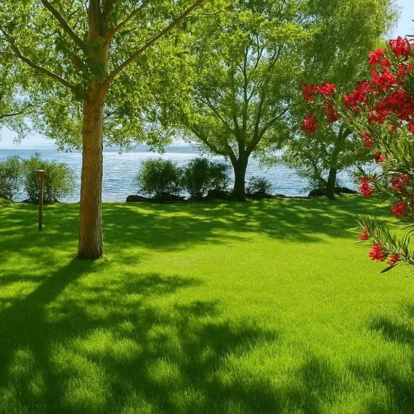 International Glamping Lago Di Bracciano, hotel in Trevignano Romano