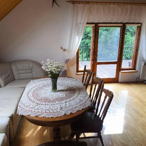 Agroturystyka - POD DWOREM, hotel in Jureczkowa