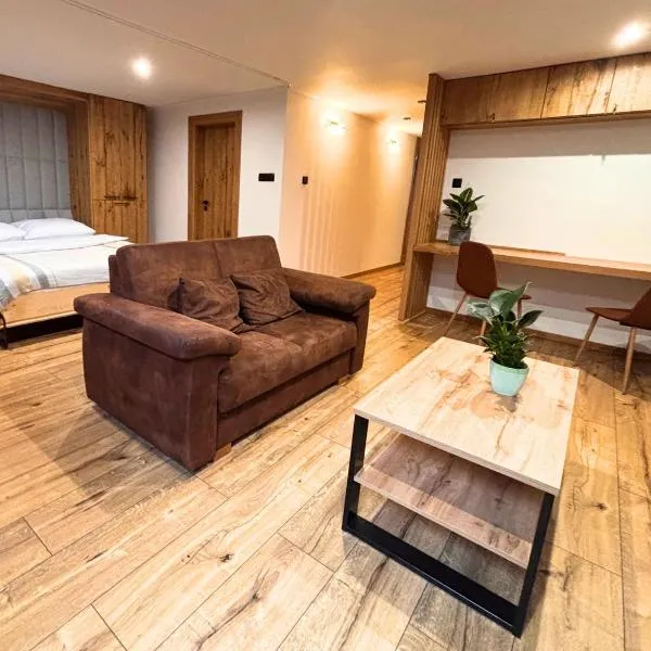 Beskidy Basement Studio, ξενοδοχείο σε Węgierska Górka