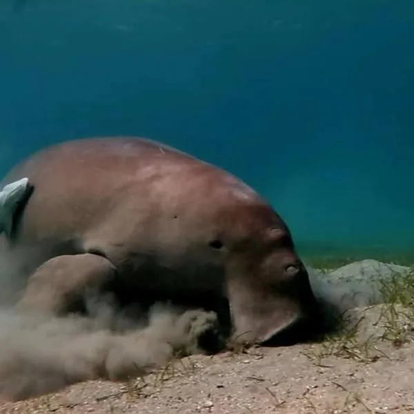 One room apartment, hôtel à Marsa Alam