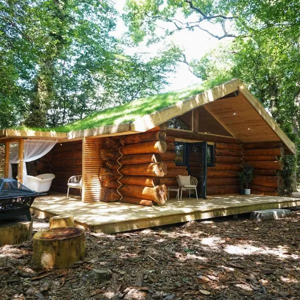 Secluded Hand Crafted Log Cabin, hotel v destinaci Okehampton