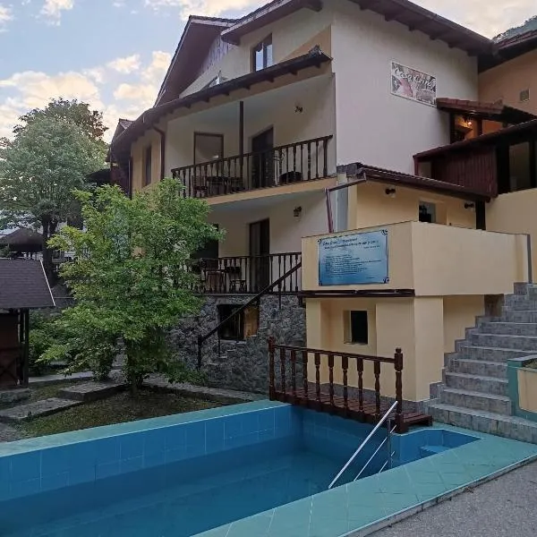 Casa Crina, hotel in Băile Herculane