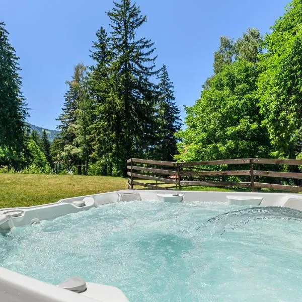 Hotel Casa Viorel jacuzzi & saunas，位于波亚纳布拉索夫的酒店