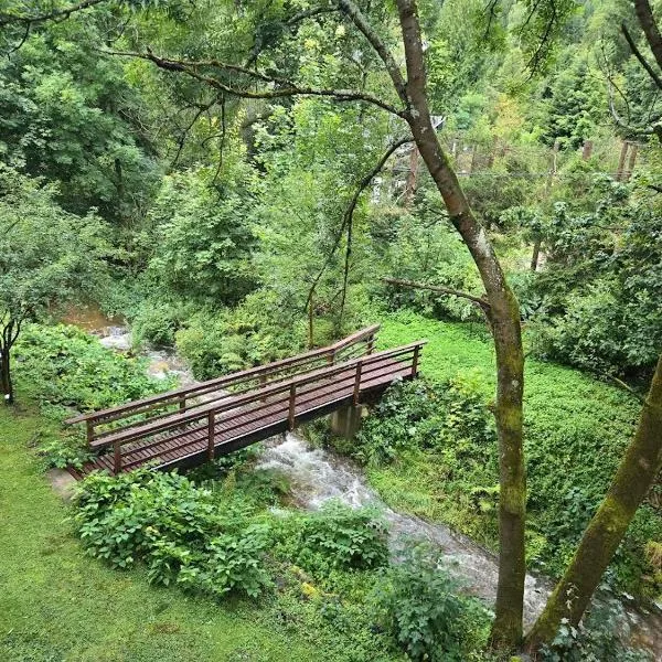 Garden Depandance Am Bach, ξενοδοχείο σε Kurort Altenberg