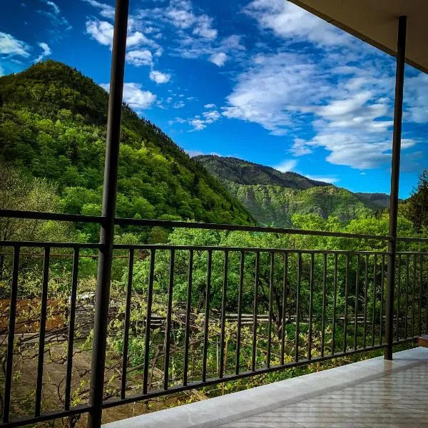 White House In Borjomi, hotel in Borjomi