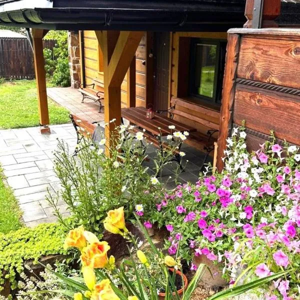 Apartament w Bieszczadach - Willa Stasia, khách sạn ở Ustianowa