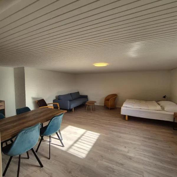 Feriehuse Hvide Sande, hotel v destinaci Hvide Sande