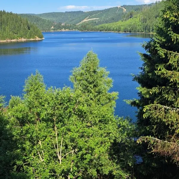 Vila Nature and Luxury, hotel in Beliş