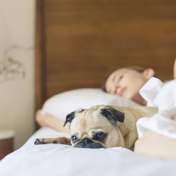 Holiday Inn Express Tucson-Airport by IHG, hotel in Tucson